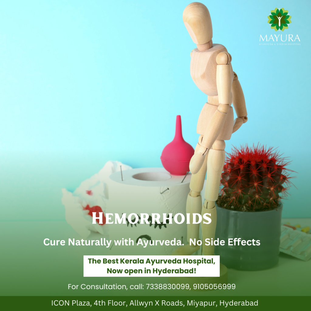 Understanding Hemorrhoids Causes Symptoms And Effective Treatments Mayura Ayurveda Siddha