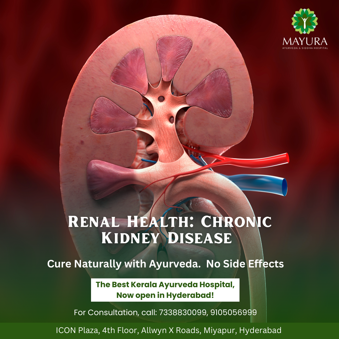 Renal Health Chronic Kidney Disease